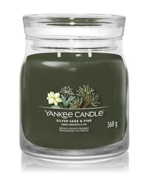 Yankee Candle Siver Sage & Pine Signature Jar Duftkerze 368 g