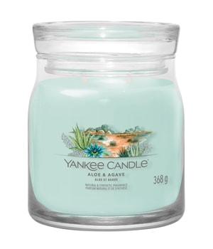 Yankee Candle Aloe & Agave Signature Jar Duftkerze 368 g