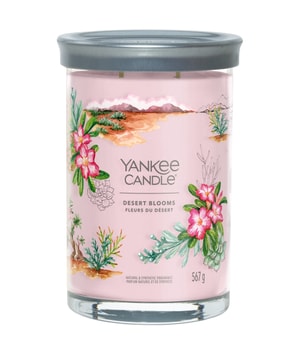 Yankee Candle Desert Blooms Signature Tumbler Duftkerze 567 g