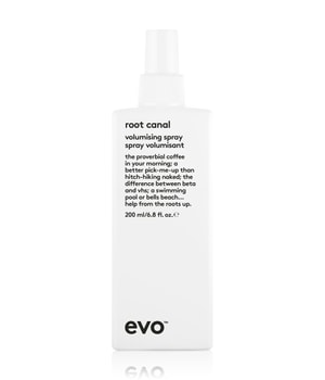 evo root canal volumising spray Volumenspray 200 ml