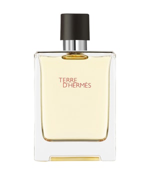 HERMÈS Terre d'Hermès Eau de Toilette 100 ml