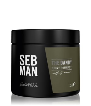 SEB MAN The Dandy Shiny Pommade with Guarana Stylingcreme 75 ml