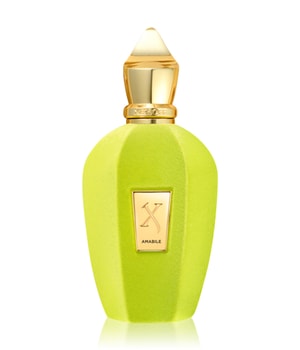 XERJOFF Xerjoff V Amabile Eau de Parfum 100 ml