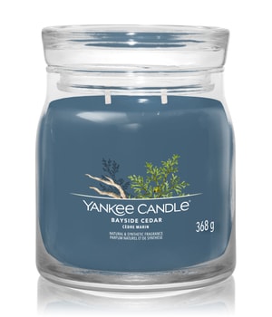 Yankee Candle Bayside Cedar Duftkerze 368 g