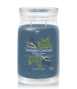 Yankee Candle Bayside Cedar Duftkerze 567 g