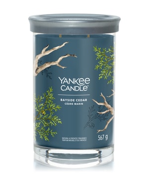 Yankee Candle Bayside Cedar Signature Large Tumbler Duftkerze 567 g