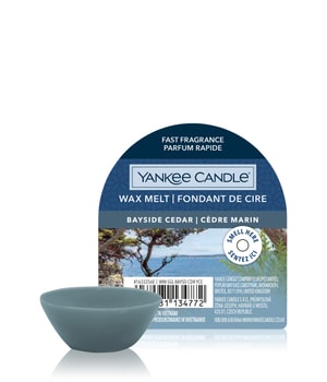 Yankee Candle Bayside Cedar Wax Melt Single Duftkerze 22 g