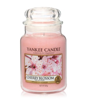 Yankee Candle Cherry Blossom Housewarmer Duftkerze 0.623 kg