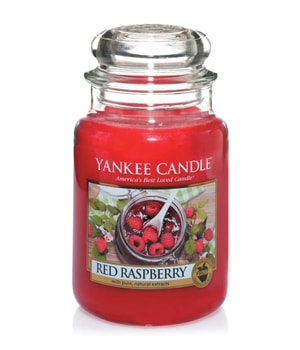 Yankee Candle Red Raspberry Housewarmer Duftkerze 0.623 kg