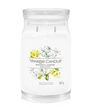 Yankee Candle Midnight Jasmine Duftkerze 567 g