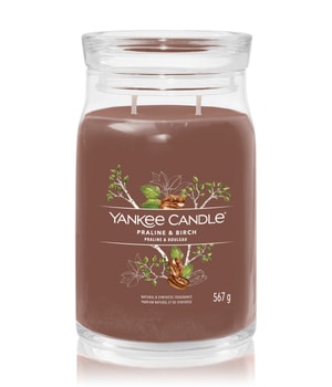 Yankee Candle Praline & Birch Duftkerze 567 g