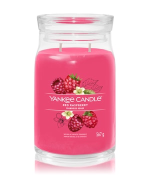 Yankee Candle Red Raspberry Duftkerze 567 g