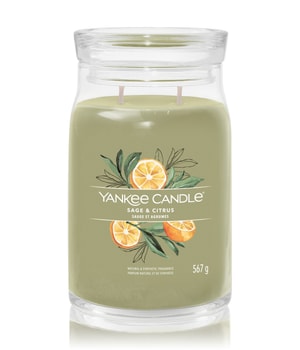 Yankee Candle Sage & Citrus Duftkerze 567 g