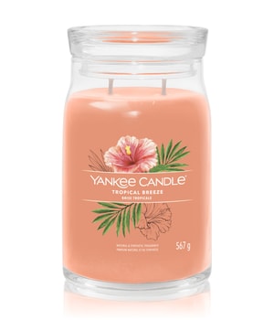 Yankee Candle Tropical Breeze Duftkerze 567 g